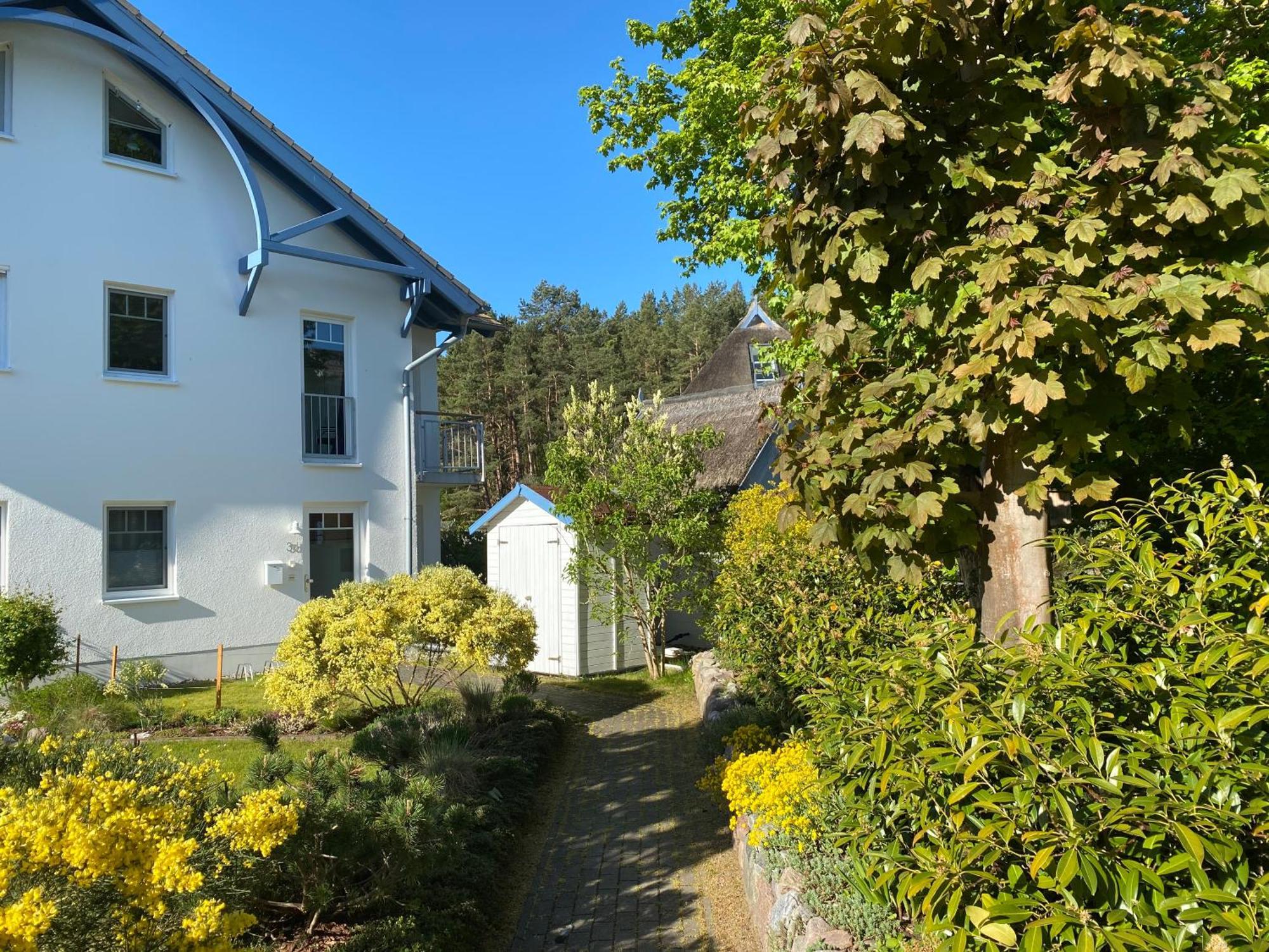Duenenresidenz Karlshagen - Ferienwohnung Ginsterweg Екстериор снимка