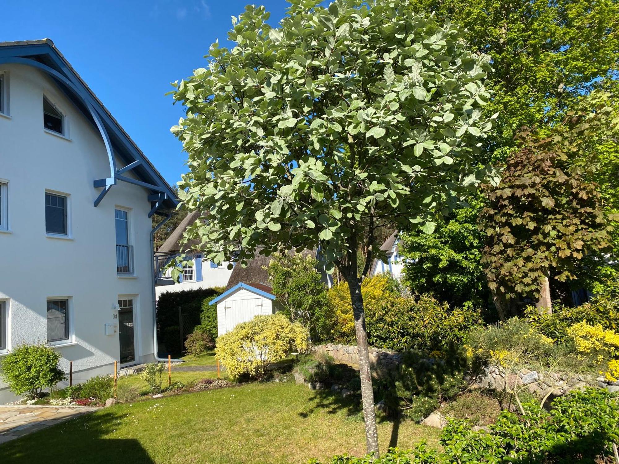 Duenenresidenz Karlshagen - Ferienwohnung Ginsterweg Екстериор снимка